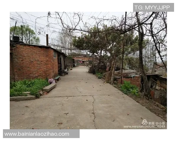 足球战友携手共进在绿茵场上书写青春的热血传奇