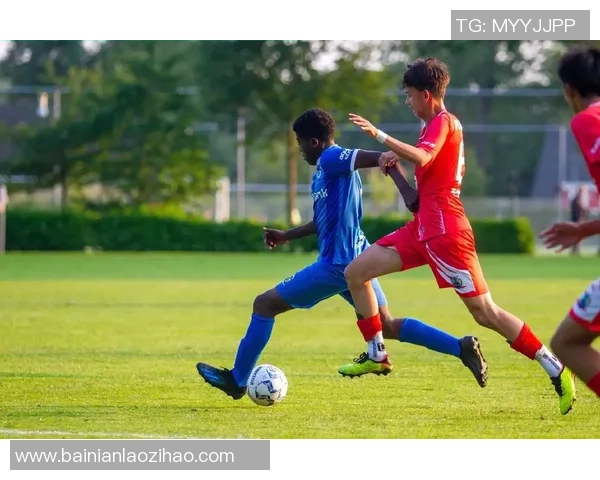 踢足球的踢字笔顺解析与书写技巧分享